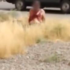 В МВД изучают видео с окровавленным мужчиной, предположительно, из Арыси
