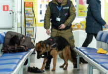 Полиция ищет неизвестного, «заминировавшего» аэропорт Алматы заминировали аэропорт