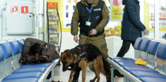 Полиция ищет неизвестного, «заминировавшего» аэропорт Алматы заминировали аэропорт