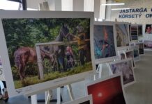 Центр фотоискусства открыт в Туркестане Центр фотоискусства открыт в Туркестане