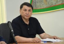 Жильцы закрытых на карантин подъездов могут выходить в магазин и выгуливать собак Жандарбек Бекшин