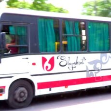 Более 500 правонарушений выявлено за три дня ОПМ «Автобус» в Шымкенте Автобус в Шымкенте