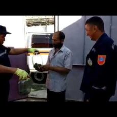 Змеи спасаются от жары в домах шымкентцев Змеи спасаются от жары в домах шымкентцев