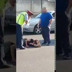 На улице Желтоксан в Шымкенте сбили женщину На улице Желтоксан в Шымкенте сбили женщину
