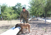 Полтысячи сапёров сейчас очищают Арысь от невзорвавшихся боеприпасов Военные саперы расчищают дворы и улицы Арыси от неразорвавшихся снарядов