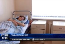 В Шымкенте фотосессия со змеей закончилась для подростка больничной палатой В Шымкенте фотосессия со змеей закончилась для подростка больничной палатой