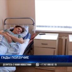 В Шымкенте фотосессия со змеей закончилась для подростка больничной палатой В Шымкенте фотосессия со змеей закончилась для подростка больничной палатой