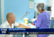 Жители Шымкента сдали кровь для пострадавших жителей Арыси Анализ крови