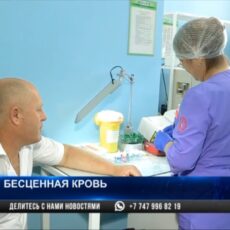 Жители Шымкента сдали кровь для пострадавших жителей Арыси Анализ крови