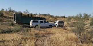 В Туркестанской области задержан браконьер за незаконную вырубку саксаула незаконная вырубка саксаула 2