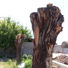 otyrarkz-2019-06-03-17h58m08s496