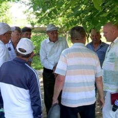 жители мкр Жидели против уничтожения сада