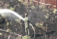 В микрорайоне Казыгурт произошло возгорание сухой травы