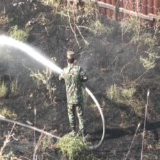В микрорайоне Казыгурт произошло возгорание сухой травы