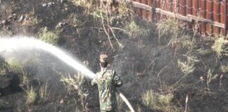 В микрорайоне Казыгурт произошло возгорание сухой травы