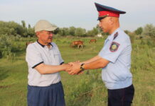 Уход конём или зачем скотине пластиковые «серьги»