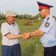 Уход конём или зачем скотине пластиковые «серьги»
