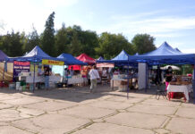 Новая продуктовая ярмарка появилась в Шымкенте