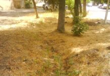 В чём разница между Чимкентом и Шымкентом?