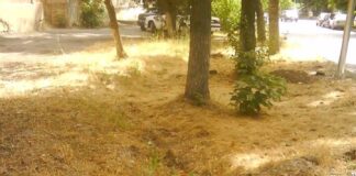 В чём разница между Чимкентом и Шымкентом?