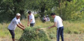 В Туркестане прошел общенародный субботник