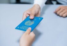 7% прибывших в 2019 году оралманов осели в Шымкенте