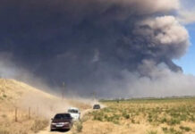 В социальных сетях появился фильм о первых минутах взрыва в Арыси