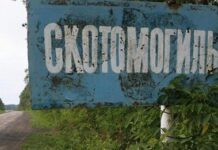 В скотомогильниках Арыси не обнаружено никакой опасности