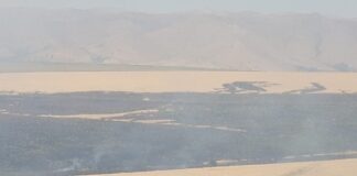 29-летний мужчина заблудился в степи Ордабасинского района пожар на пшеничном поле