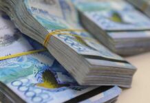 Экс-гендиректора национального парка подозревают в мошенничестве