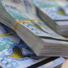 Экс-гендиректора национального парка подозревают в мошенничестве