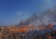 Пожар в нацпарке мог начаться из-за падения НЛО