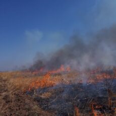 Пожар в нацпарке мог начаться из-за падения НЛО