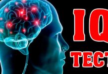 Тест на IQ озадачил пользователей Сети Тест на IQ