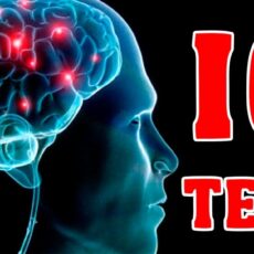 Тест на IQ озадачил пользователей Сети Тест на IQ