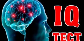 Тест на IQ озадачил пользователей Сети Тест на IQ