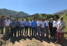 Как будет развиваться горнолыжный курорт «Каскасу»