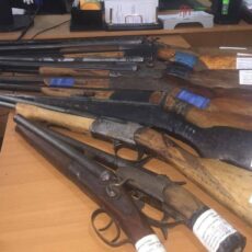 Полицейские Туркестанской области изъяли 27 единиц оружия кару, сдача оружия