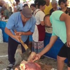 В Арыси прошла ярмарка сельскохозяйственной продукции В Арыси прошла ярмарка сельскохозяйственной продукции