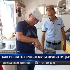 Центр «Профессионал» решает проблему безработицы в Шымкенте Центр "Профессионал" решает проблему безработицы в Шымкенте