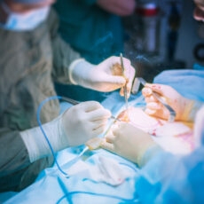 В Шымкенте проведена 247-я трансплантация почки операция