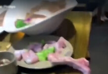 Куриная грудка выползла из тарелки и довела женщину до истерики Куриная грудка выползла из тарелки