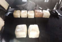 Тайник с семью пакетами обнаружила служебная собака в машине узбекистанца