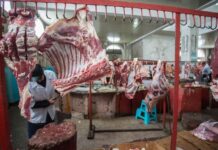 Золотая говядина: шымкентцы завязали есть мясо