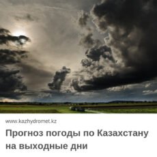 О погоде в выходные дни, 17-19 августа, рассказали синоптики