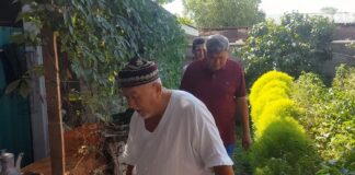 Пенсионер Шымкента показал как рационально использовать воду и выиграл приз