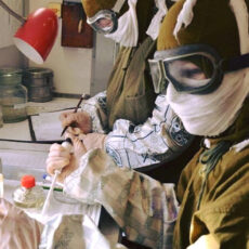 Ситуация по сибирской язве в Акмолинской области находится на контроле