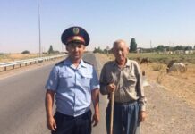 Хозяева теряют скотину: Полицейские Туркестанской области ее находят