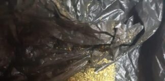 На 3 года посадили жителя Шымкента за крупную партию наркотиков наркотики