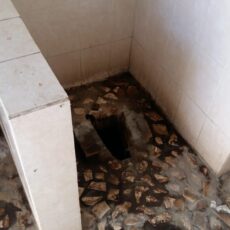 100 тысяч тенге за грязный туалет в зоопарке